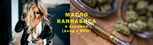 молекула духа Новозыбков