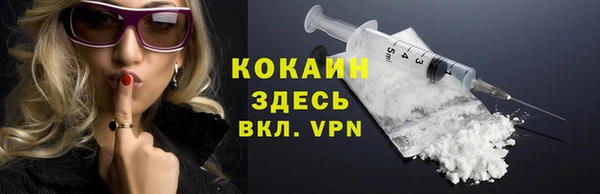 хмурый Нея