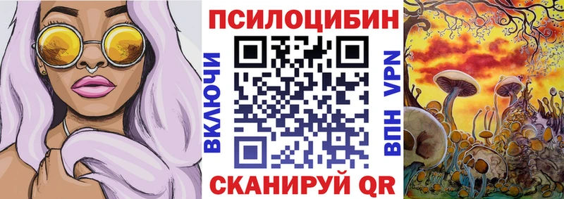 Галлюциногенные грибы ЛСД  darknet какой сайт  Нижняя Тура 